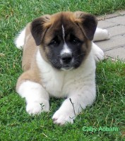 /album/fotogalerie-vrh-c/a100-2356-jpg/